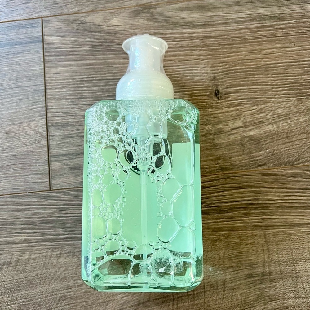 Michel Design Works Nest & Eggs Foaming Shea Butter Hand Soap 17.8 oz - Picture 3 of 6
